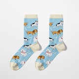 Happy Paws Kids